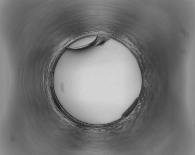 X0000111670193200908141436