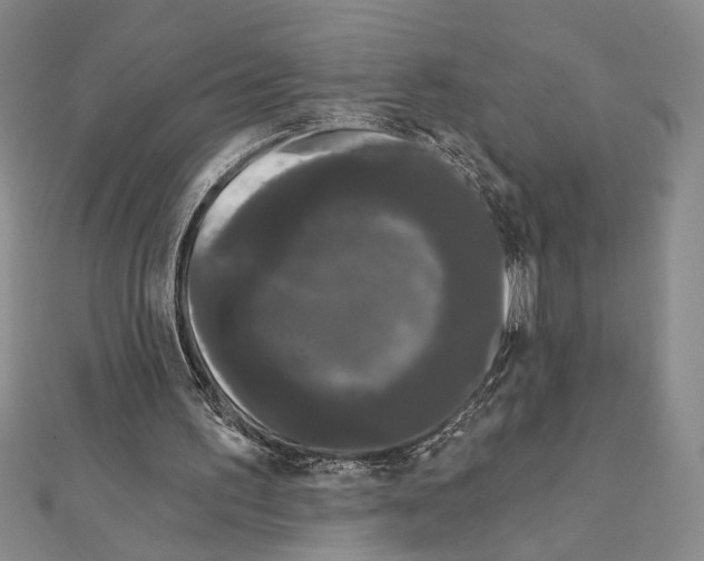 X0000111670195200908141436