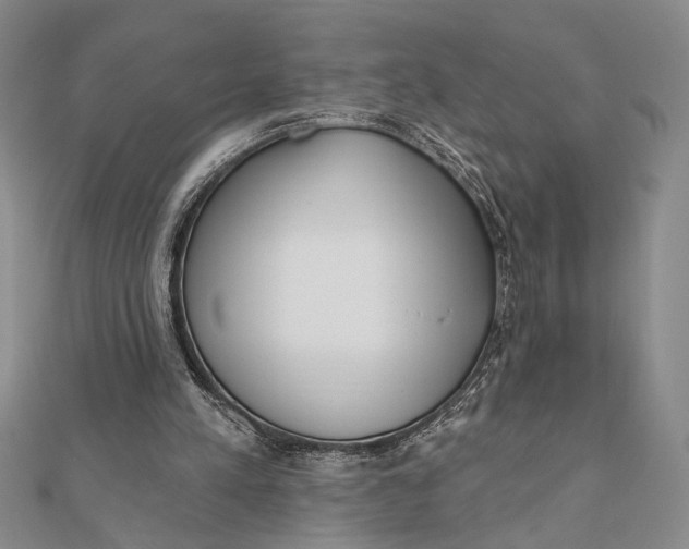 X0000111670197200908141436