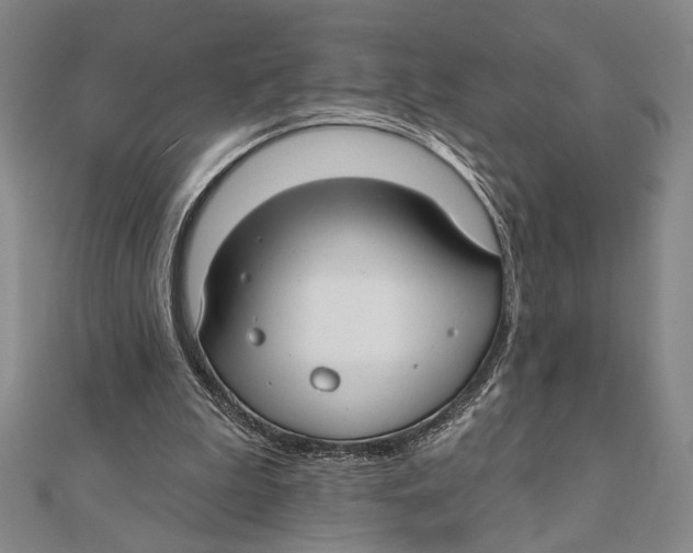 X0000111670199200908141436