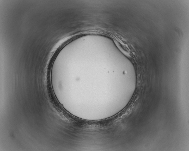 X0000111670200200908141436