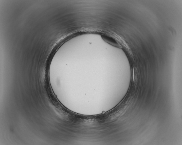 X0000111670204200908141436