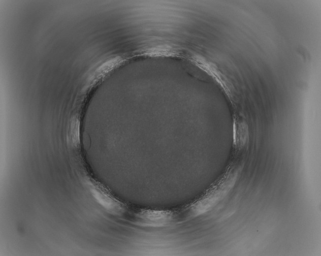 X0000111670205200908141436