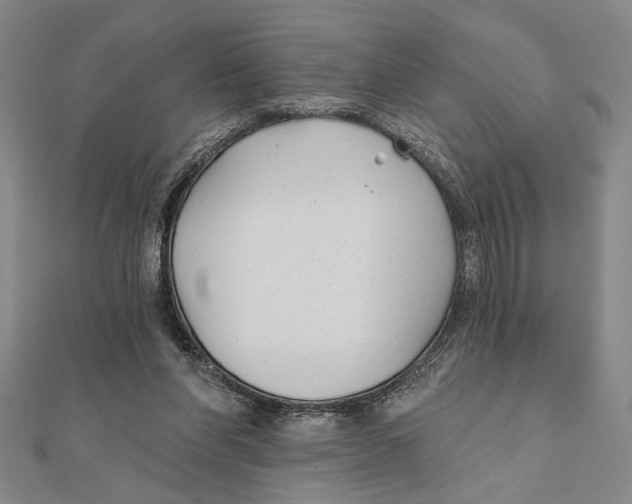 X0000111670206200908141436