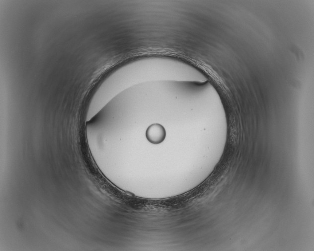 X0000111670207200908141436