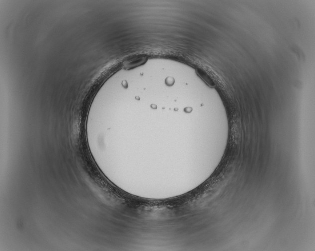 X0000111670208200908141436