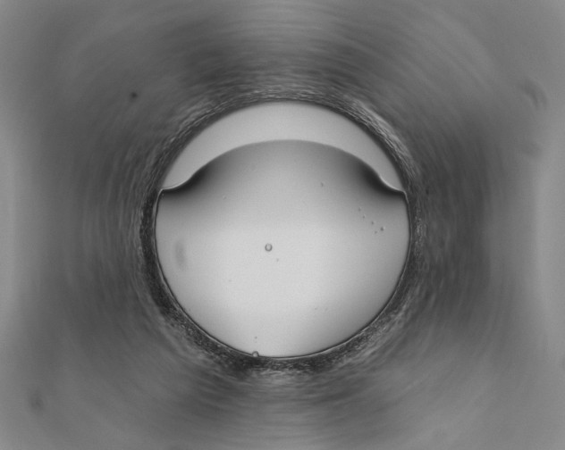 X0000111670209200908141436