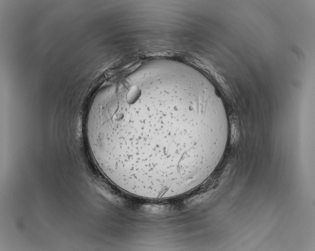 X0000111670211200908141436