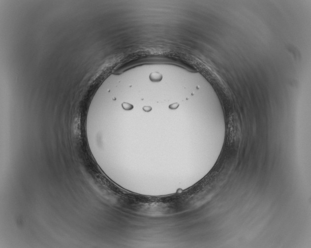 X0000111670212200908141436