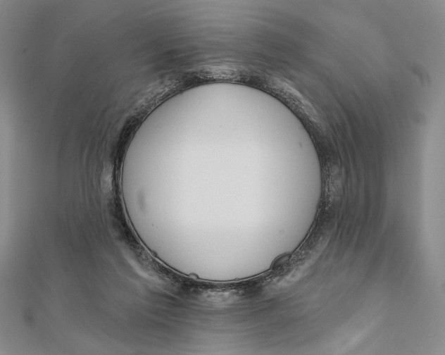 X0000111670213200908141436