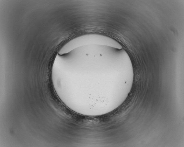 X0000111670215200908141436