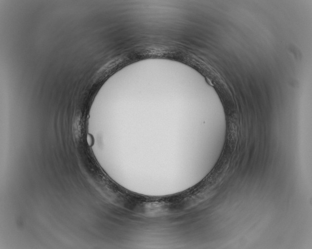 X0000111670216200908141436