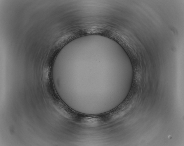 X0000111670219200908141436