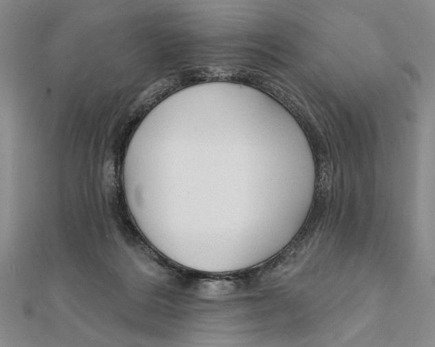 X0000111670220200908141436