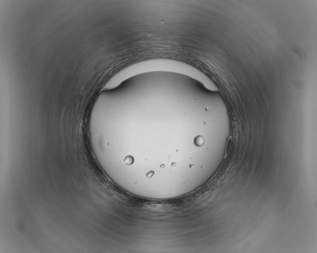 X0000111670221200908141436