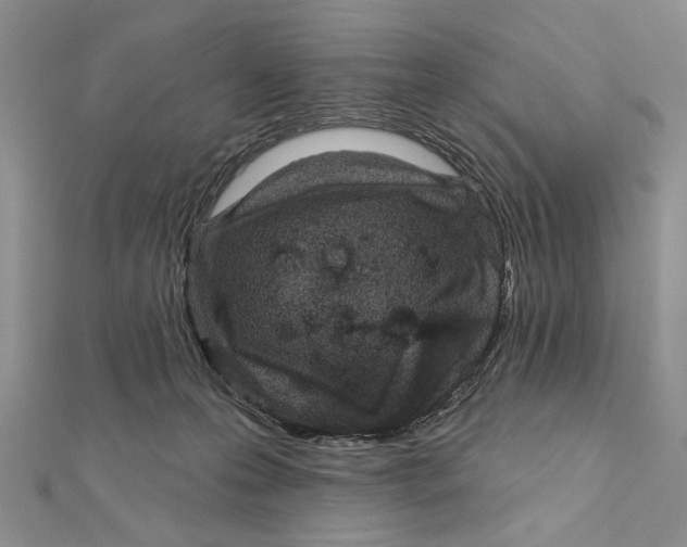 X0000111670223200908141436