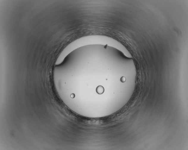 X0000111670225200908141436