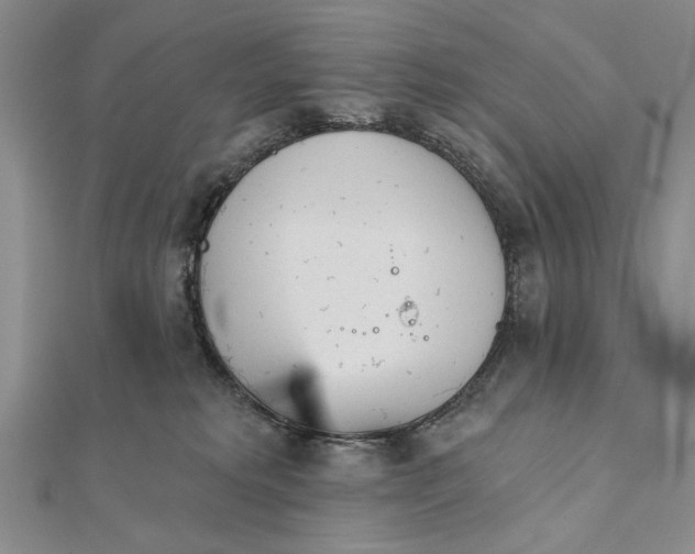 X0000111670229200908141436