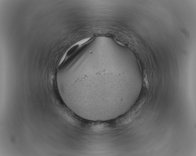 X0000111670235200908141435