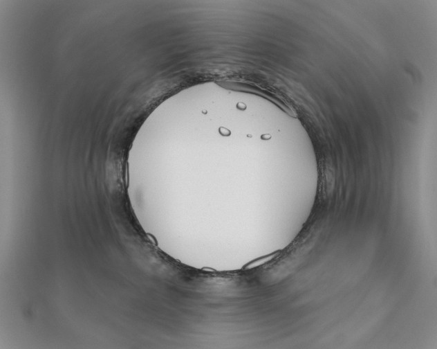 X0000111670236200908141435