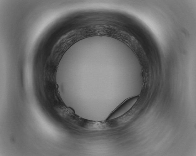 X0000111670239200908141435