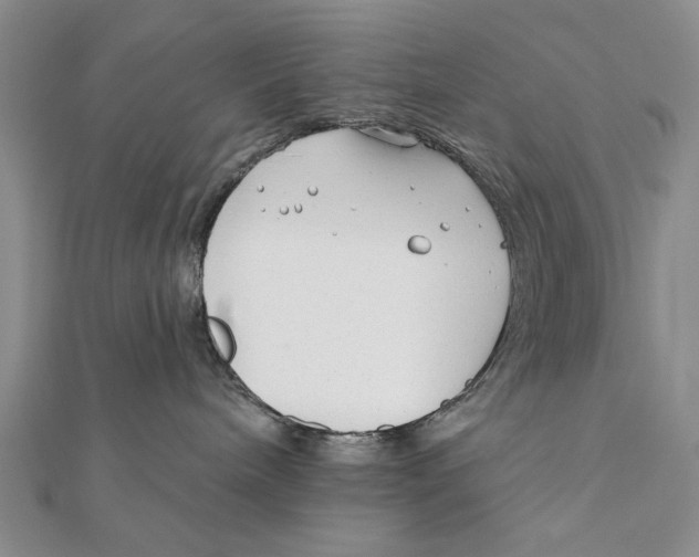 X0000111670240200908141435