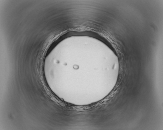 X0000111670241200908141435