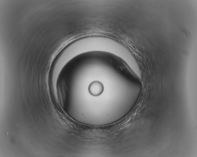 X0000111670244200908141435