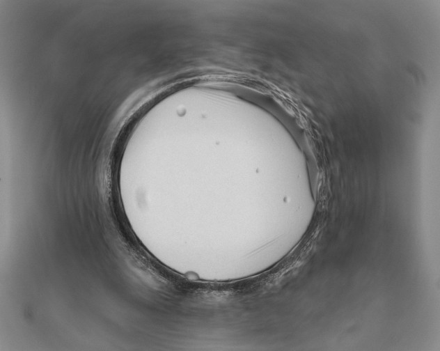 X0000111670247200908141435