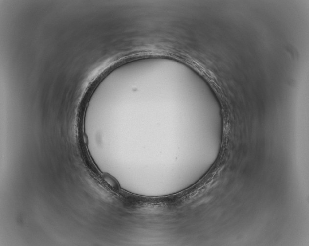 X0000111670248200908141435