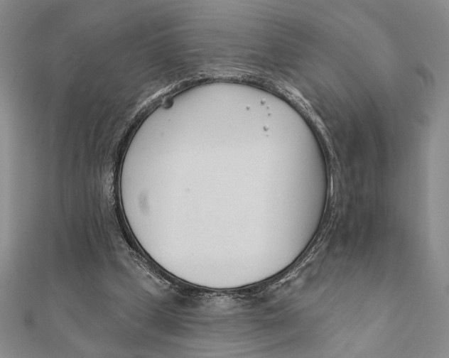 X0000111670249200908141435