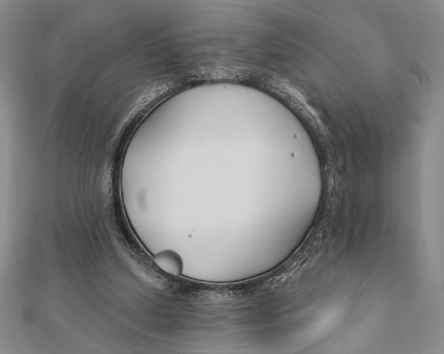 X0000111670250200908141435