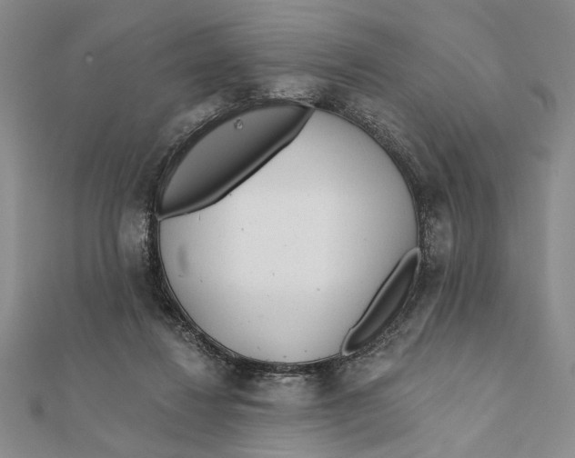 X0000111670260200908141435