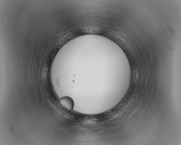 X0000111670263200908141435