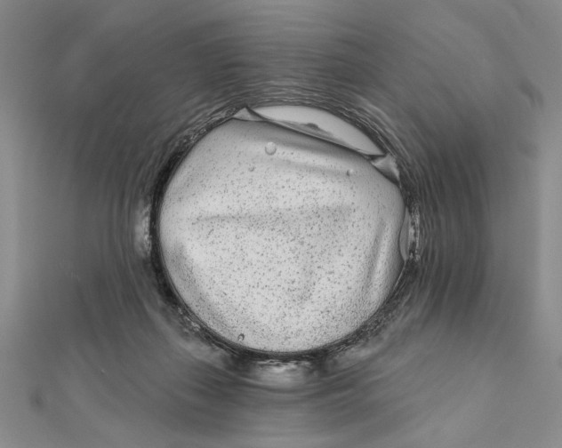 X0000111670267200908141435