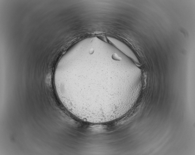 X0000111670269200908141435