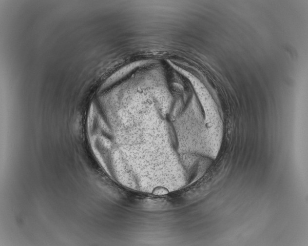 X0000111670270200908141435