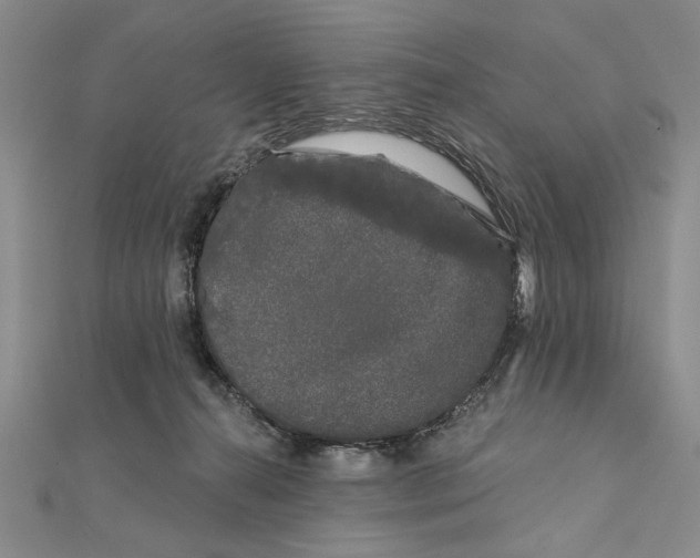 X0000111670272200908141435