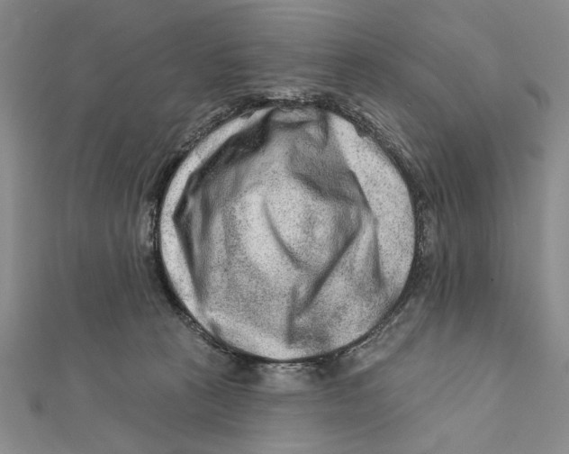 X0000111670273200908141435