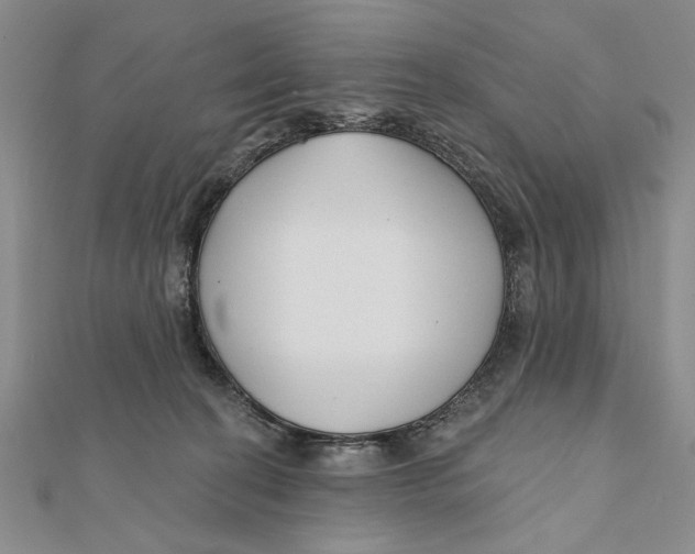 X0000111670274200908141435