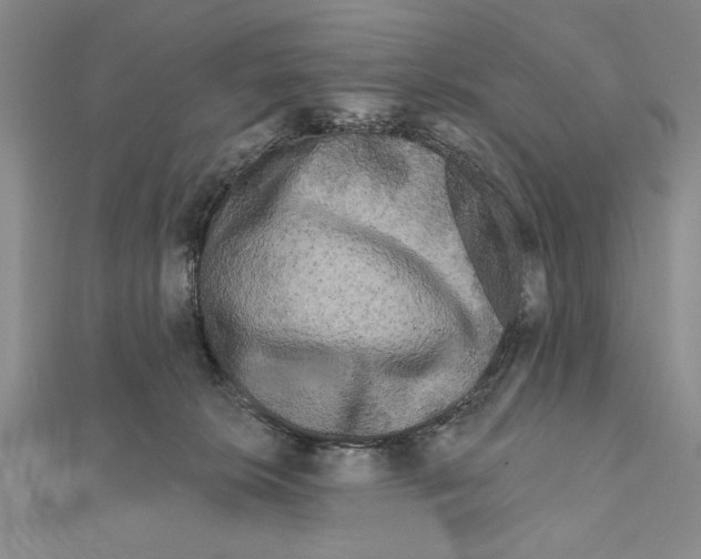 X0000111670276200908141435