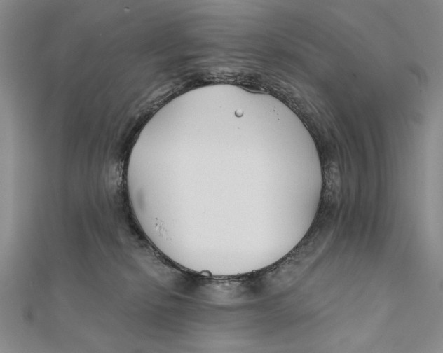 X0000111670278200908141435