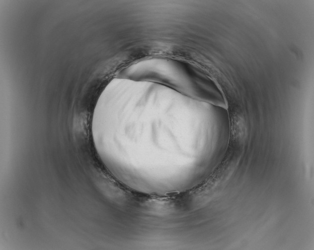 X0000111670280200908141435