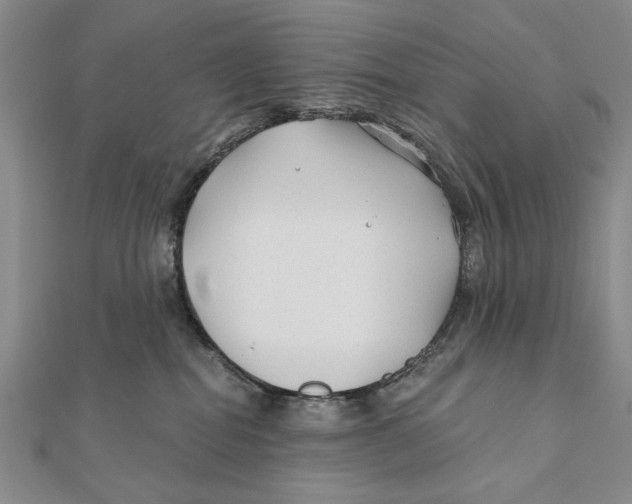 X0000111670282200908141435