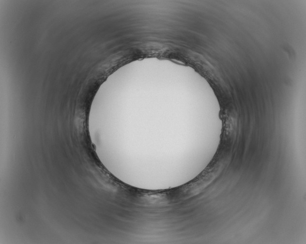 X0000111670283200908141435