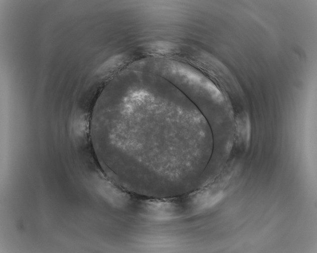 X0000111670284200908141435