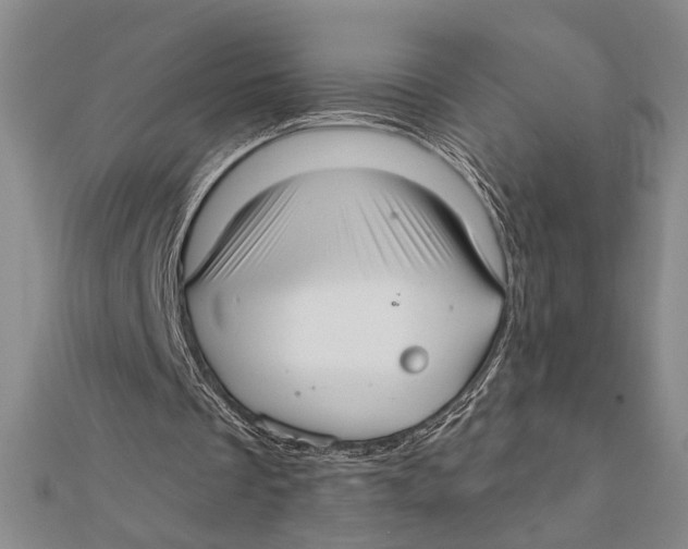 X0000111670289200908141435