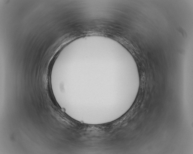 X0000111670290200908141435