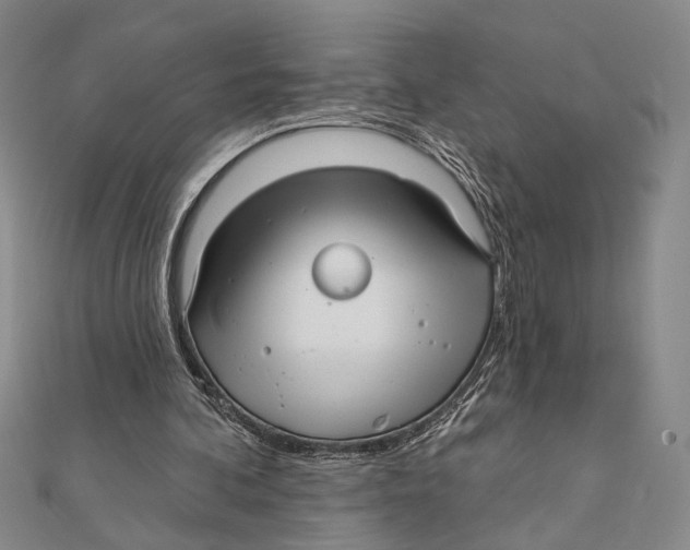 X0000111670292200908141435