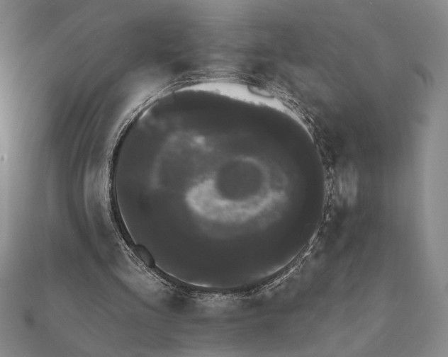 X0000111670293200908141435